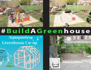 BuildAGreenhouse-01